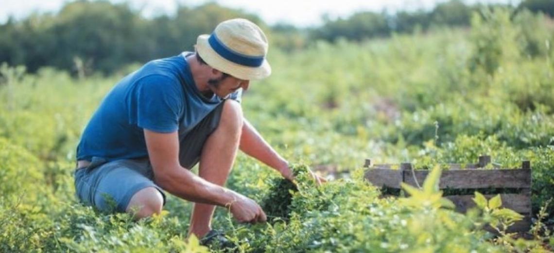 Anga, Marinoni:«Siamo pronti per i prossimi appuntamenti»