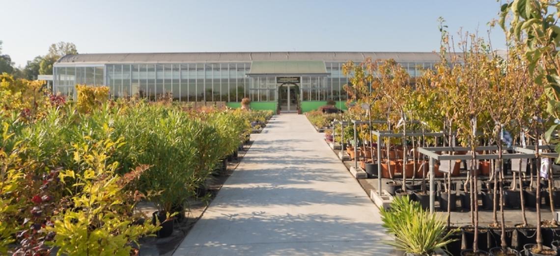 &laquo;Al centro la figura del florovivaista&raquo;