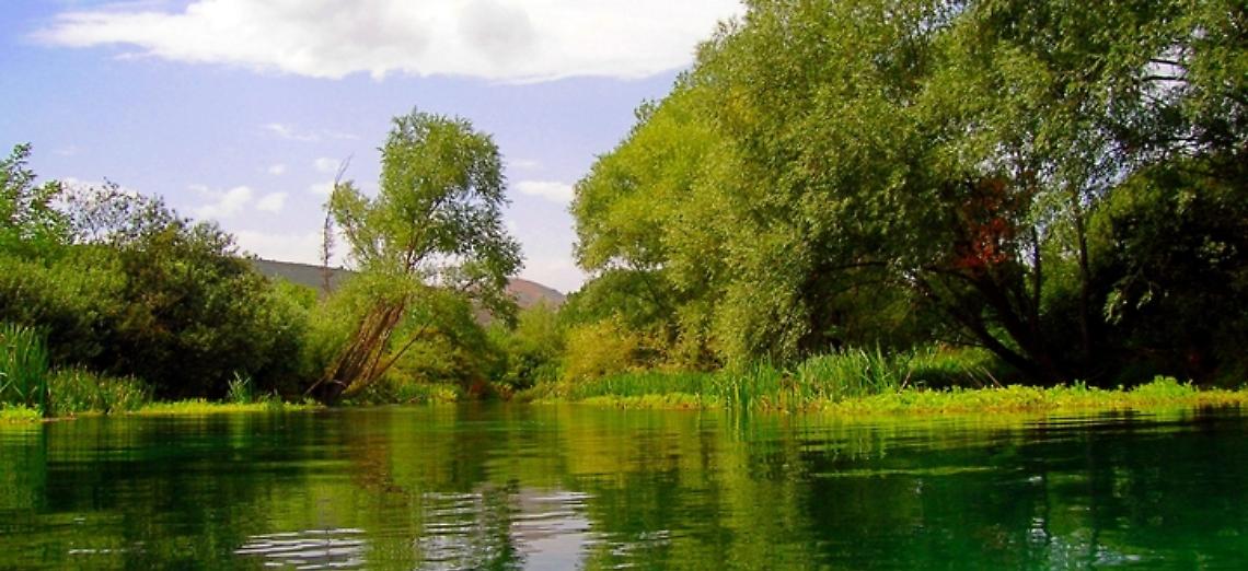 Tavolo &ldquo;Aree Protette&rdquo;, l&rsquo;aggiornamento in Regione tra le associazioni di categoria