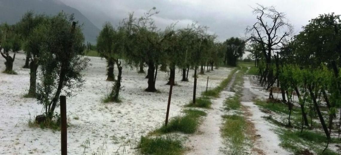 Maltempo, il presidente Crotti richiama l’attenzione delle istituzioni sui gravi fenomeni metereologici che stanno devastando la regione