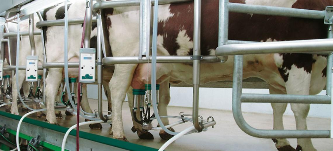 Prezzo del latte, accordo firmato. Crotti: “Finalmente è riconosciuto l’impegno degli allevatori lombardi”