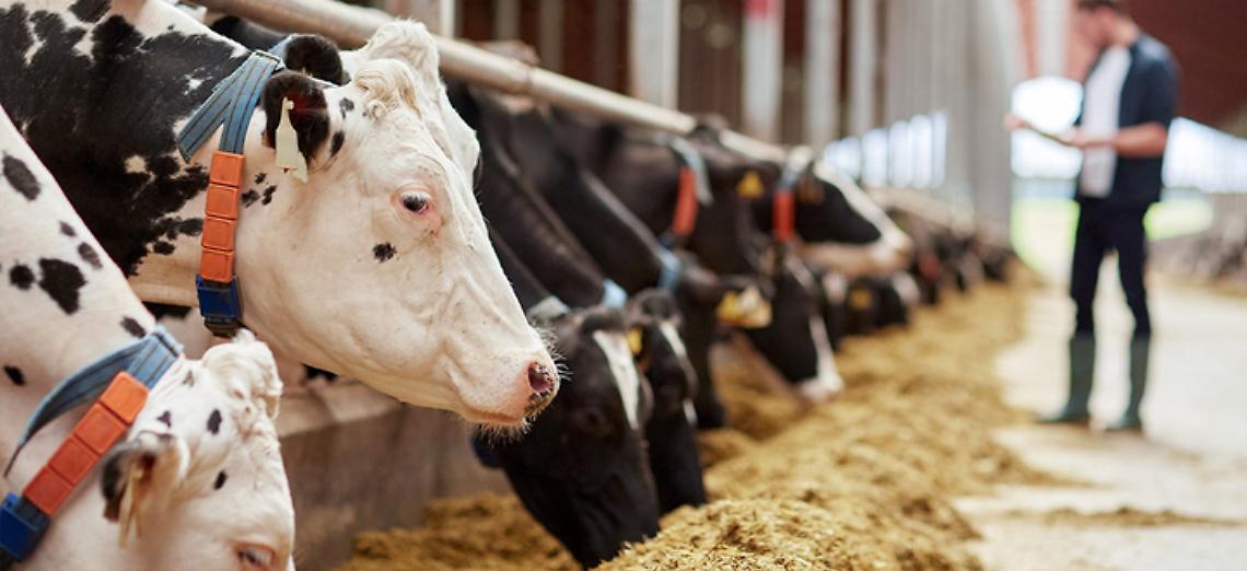 Innovazione per una produzione più sostenibile