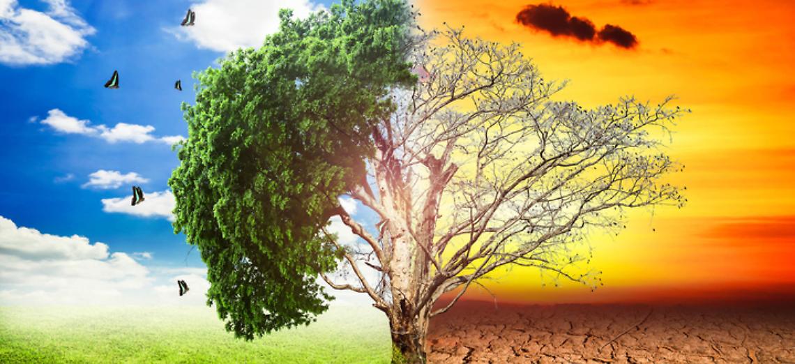 Modfabe, un progetto per dare voce agli agricoltori