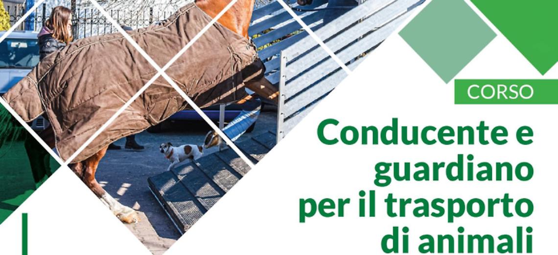 Al via una nuova opportunità formativa il corso per conducente e guardiano addetto al trasporto di animali  
