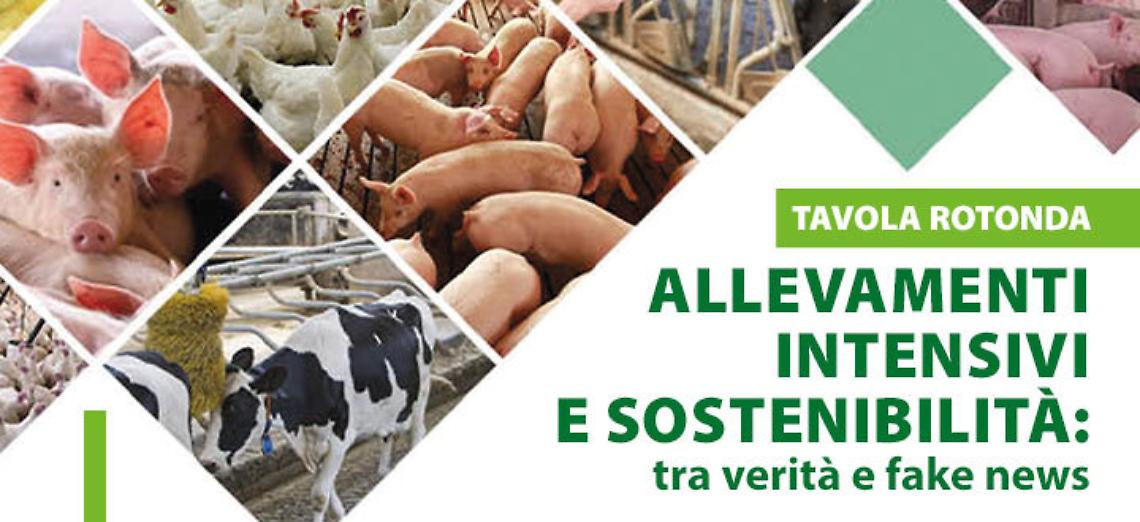 Allevamenti intensivi e sostenibilità - Tavola rotonda venerdì 18 marzo