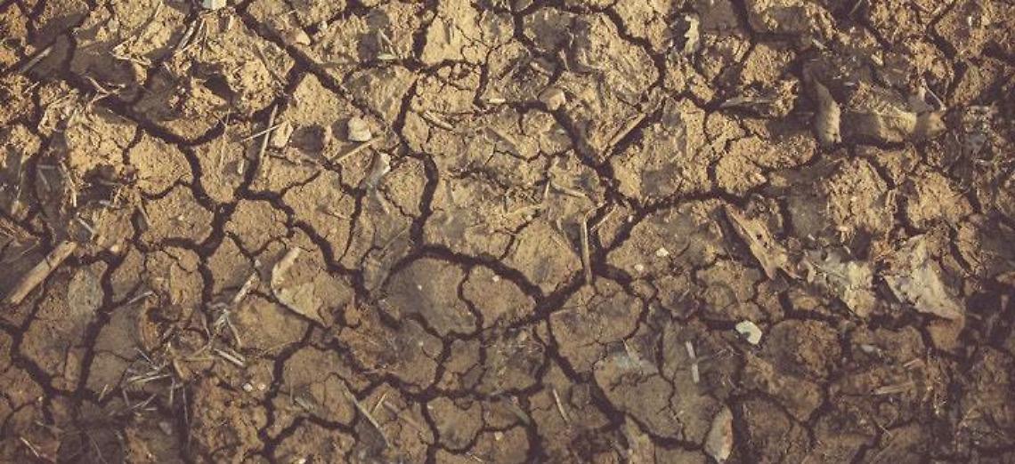 Siccità 2022: situazione drammatica,  servono azioni immediate