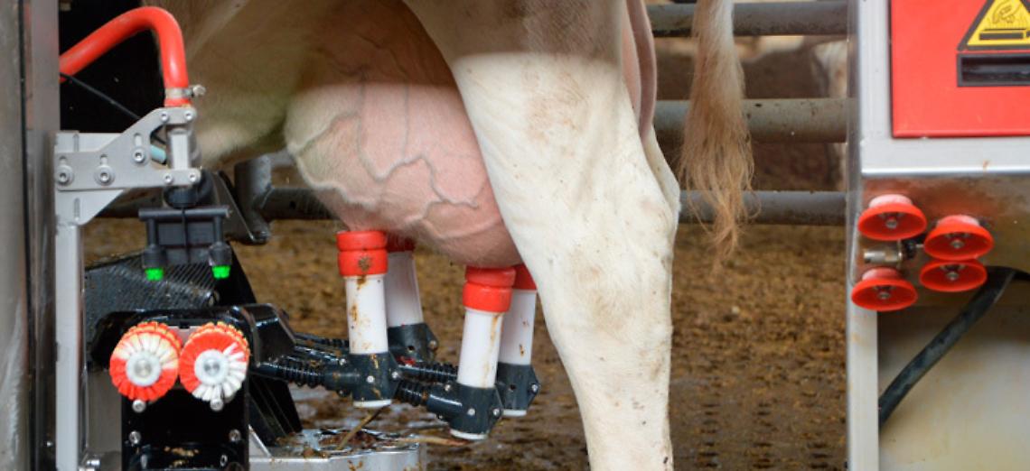 Prezzo del latte, ecco la fumata bianca: 57 cent/l di media fino alla fine dell’anno