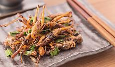 Cavallette in agriturismo? No grazie: &ldquo;Difendiamo la tradizione culinaria italiana legata al territorio&rdquo;