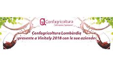 Vinitaly, Confagricoltura Lombardia presente con un proprio spazio nella Galleria delle Regioni dello stand dell’organizzazione nazionale