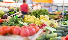 Giornata mondiale dell’alimentazione, Marinoni: “Puntiamo su un’agricoltura produttiva e sostenibile”