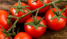 Libera di Cremona, al via il primo degli incontri dedicato al pomodoro per la serie &ldquo;AgricUltura. Cr. Ue&rdquo;