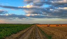 Accordo ministero dell&rsquo;Interno &rdquo;&ldquo; Agea per le certificazioni antimafia, Boselli: &ldquo;Ora si sblocchino i pagamenti dei premi comunitari&rdquo;