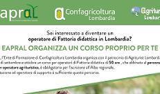Un corso per diventare operatore fattoria didattica