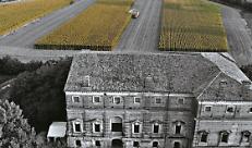 A Mantova torna la rassegna fotografica &laquo;Giovane Terra: crescere senza invecchiare&raquo;