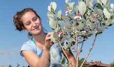 Addio a Giulia, il cordoglio del gruppo Anga