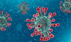 Emergenza Coronavirus, gravi problemi per le aziende agricole che operano sia dentro che fuori la “zona rossa”