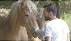 Paolo  Boesi con il suo cavallo