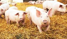 Benessere Animale: al via il nuovo bando di Regione Lombardia per premiare la qualit&agrave; negli allevamenti