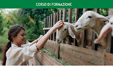 Aggiornamento per Operatori di Fattoria Didattica in Lombardia