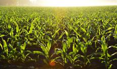 CONFAGRICOLTURA: ACCORDO DECISIVO PER IL FUTURO DEL SETTORE PRIMARIO