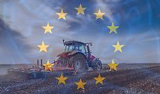 Verso Bruxelles: che cosa c&rsquo;&egrave; davvero in gioco con la nuova PAC