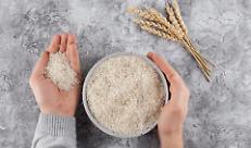 Il riso mantovano a rischio