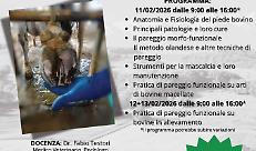 CORSO DI MASCALCIA BOVINA