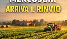 MERCOSUR, ARRIVA IL RINVIO DEL PARLAMENTO UE. BOSELLI: &laquo;L&rsquo;EUROPA HA COMPRESO LE NOSTRE PERPLESSIT&Agrave;&raquo;