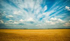 Anche la Corte dei Conti europea boccia il nuovo modello della Pac