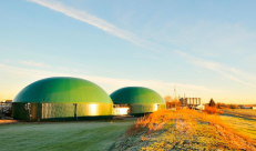Dl Bollette: Biogas e biomasse a rischio