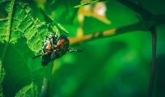 Le domande potranno essere presentate a partire dal 1&deg; aprile 2026, dotazione finanziaria di 6,2 milioni di euro