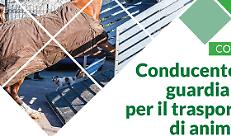 Al via una nuova opportunità formativa il corso per conducente e guardiano addetto al trasporto di animali  