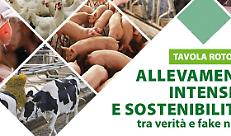 Allevamenti intensivi e sostenibilità - Tavola rotonda venerdì 18 marzo
