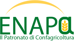 Patronato ENAPA