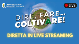 DIRETTA STREAMING 