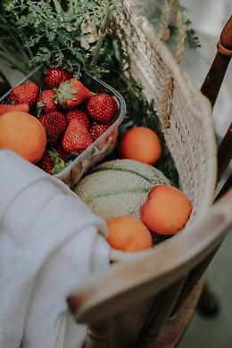 Raccolta self-service: l'appuntamento di Confagricoltura Bergamo amato dalle famiglie