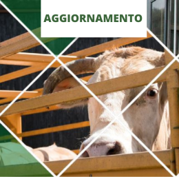 CONDUCENTE E GUARDIANO PER IL TRASPORTO DI ANIMALI VIVI (AGGIORNAMENTO)