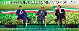 «Governo: impegni nella direzione della crescita»