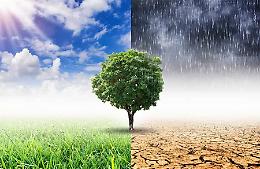L'appello: «Scienza e tecnologia possono salvare l'agricoltura».