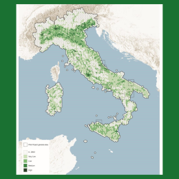 Al via la fase di implementazione di Parco Italia: 70.000 alberi verranno piantati entro la fine del 2024 con il supporto di Amazon