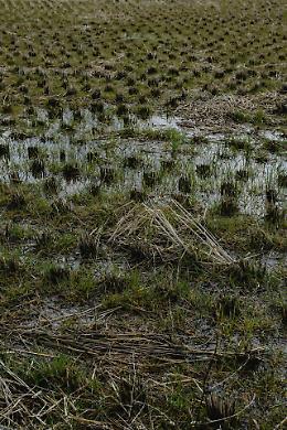 AgriCat, Confagricoltura: bene il tavolo, ma occorre risolvere al più presto gli intoppi