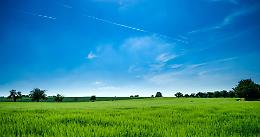 Fao: migliorare il rapporto agricoltura ambiente con la collaborazione di tutti