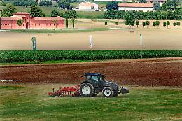 Primo semestre 2025: l’agricoltura lombarda cresce grazie a export e lattiero-caseario