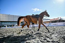 Apre a Verona Fieracavalli, la principale rassegna del settore equino
