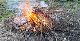 Disposizioni inerenti alla combustione in loco di residui vegetali, agricoli e forestali