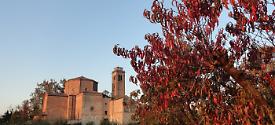 Agriturismo Santa Maria Bressanoro