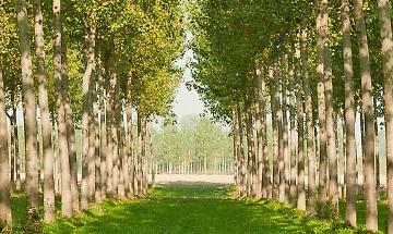 Contatti