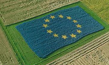 Anticipo Pac, “un’ottima notizia per le imprese agricole lombarde”