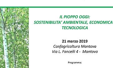Convegno IL PIOPPO OGGI: SOSTENIBILITA&rsquo; AMBIENTALE, ECONOMICA E TECNOLOGICA -  Mantova - 21 marzo 2019