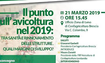Il punto sull&rsquo; avicoltura nel 2019
